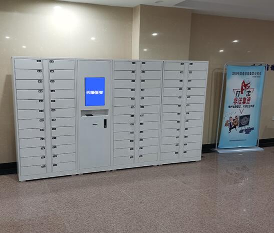 Smart Lockers for Government Project